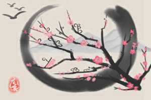 店里放什么招财最灵验-神算网(店里放什么招财最灵验)