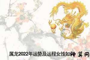 1988年属龙2017年运势女(1988年属龙2023年运势女)