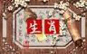 十二生肖对应的数字图表(十二生肖对应的数字图表图片)