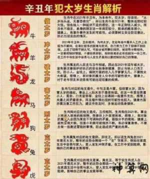 六十斤代表什么生肖(六十斤代表什么生肖呢)