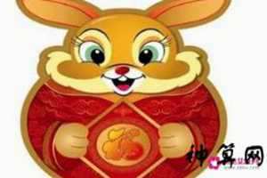 禹兔的人今年运势如何(禹兔的人今年运气如何)