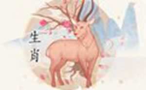 1991年属羊人2023年财运怎么样(1991年属羊取什么名字财运好)