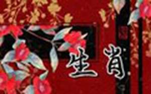 2022年什么属相运气好(2022年什么属相运气好呢)