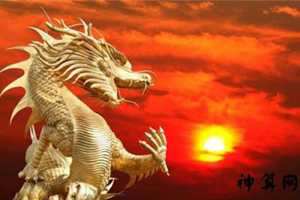 88年12月今年得运势(88年12月份运势)