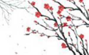 农业公司取名大全(农业公司取名大全查询)