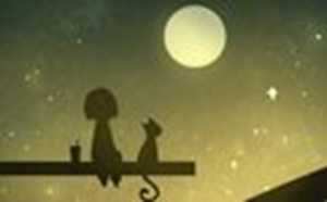 星座解析(星座解析)