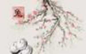 63年属兔今日财运(63年属兔今日财运怎样)
