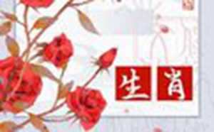 属兔的什么年龄结婚最好(属兔的什么年龄结婚最好呢)