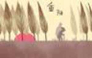 2022年是什么星座(2022年是什么星座)