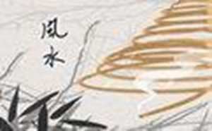 家中养黑狗的风水知识(黑狗为什么不能养三年)