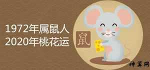 女属鼠1972年17年运势