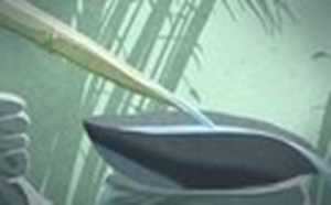 被双子座吃定的三大星座(被双子座吃定的三大星座男)