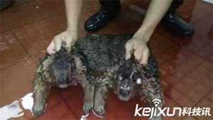 做梦梦见被水鬼追(做梦梦见被水鬼追着跑)
