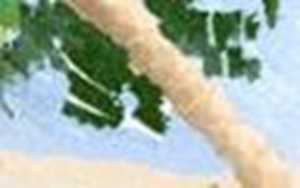闺蜜手链推荐-神算网(闺蜜手链有哪些)