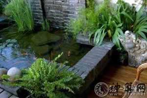 龙池风水(龙池风水宝地)