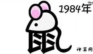 1984年属鼠的人2017年运程每月运势(1984年属鼠2017年运势及运程)