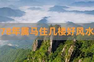 属马住几层楼风水最好(属马住几层楼风水最好)