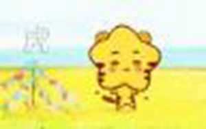 属虎人2019年下半年运势(属虎人2019年下半年运势及运程)