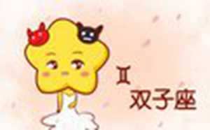 gemini是什么星座(gemini是什么星座)