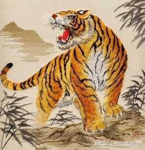 86年属虎最穷不过36岁(86年属虎最穷不过36岁是什么意思)