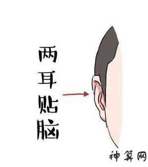 贴耳脑打耳洞风水(贴脑耳打耳洞会影响运势吗)