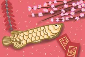 家里大门放什么招财运好(家里大门放什么风水好)