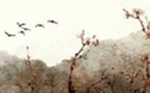 做梦梦见发大水了是什么意思(做梦梦见发大水了是什么意思啊)