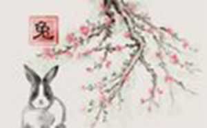 75年属兔男2023年运势婚姻