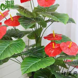 门旁风水绿化用塑料花(门旁风水绿化用塑料花好吗)
