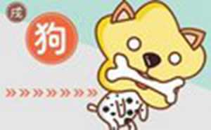 属狗的和属狗的适合做夫妻吗(属狗的和属猪的适合做夫妻吗)