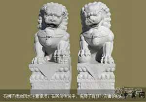 风水中放石狮子(风水中放石狮子好吗)