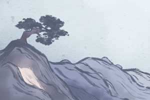 门前种什么树最旺财(门前种什么树最旺财的)