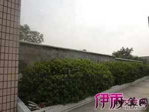 围墙各方位高低风水(围墙各方位高低风水讲究)