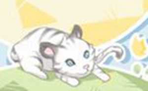 梦到抱着一只猫特别乖(梦到抱着一只猫特别乖什么意思)
