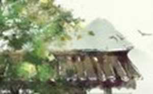 梦见白鞋子预示着什么-神算网(梦见白鞋子是什么意思啊)
