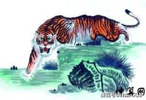 属虎人2022年每月运程(属虎人2022年每月运程大家)