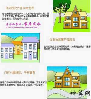 房子后面有大树风水有影响吗(房子后面有大树对风水有影响吗)