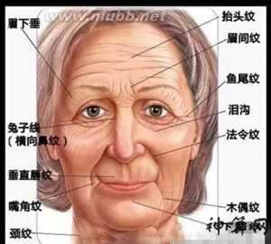女人面部皱纹风水图解大全