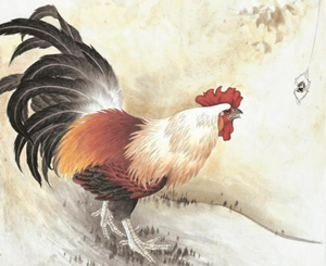 属鸡的女人性格好不好(属鸡的女人性格怎么样)