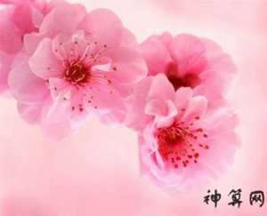 2017桃花运很差的生肖(2017桃花运很差的生肖是什么)