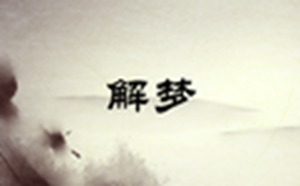 梦见和不认识的女人说话是什么意思(梦见和不认识的女人说话是什么意思呀)
