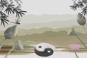 招财树和发财树哪个好-神算网(招财树跟发财树哪个最好)
