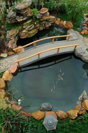 院子鱼池位置风水图片