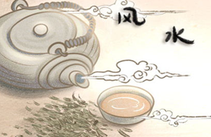 兰花风水摆放禁忌属相(兰花风水摆放禁忌属相虎皮兰)