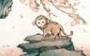 十二星座适合养什么宠物(十二星座适合养什么宠物猫)