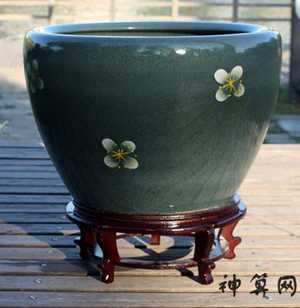 门前花盆风水(门前花盆风水讲究)