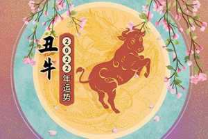 2022年属牛的财运怎么样啊(2022年属牛的财运怎么样啊女孩)