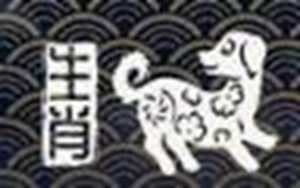 请问属狗的今年运气怎么样(请问属狗的今年运气怎么样呢)