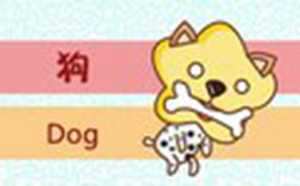 属牛的和属狗的相配结果会怎么样(属牛的属狗的相配吗)