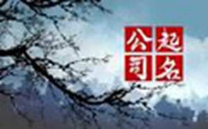 82年属狗水命公司起名(82年属狗水命公司起名最好的字)